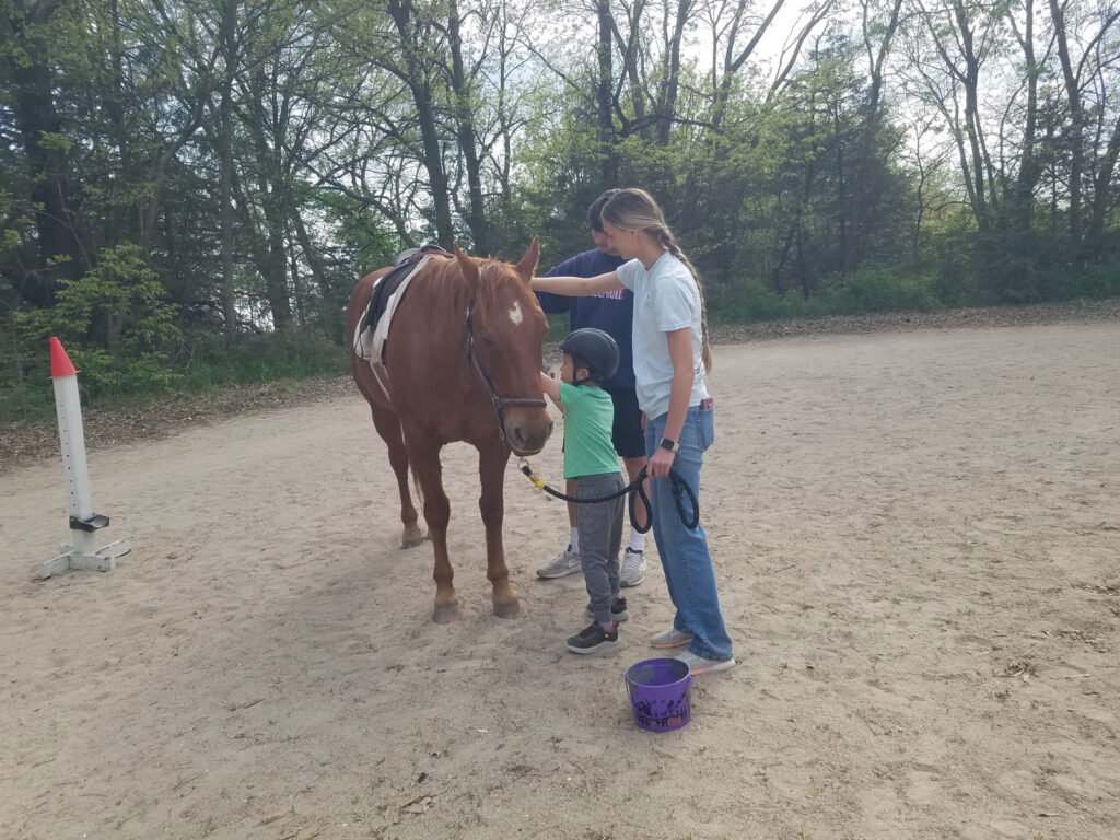 A young child petting a horse at Sunny Oak. 