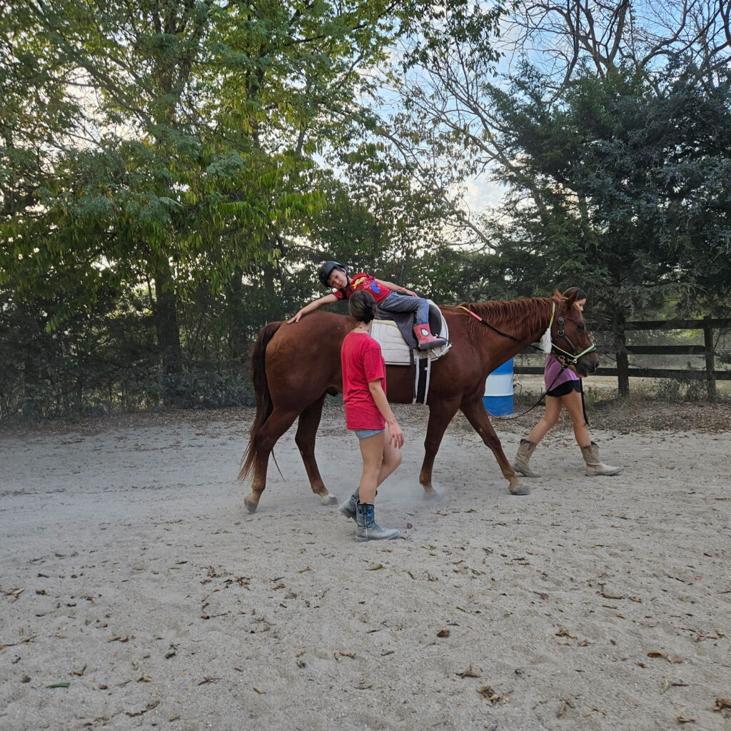 A young Sunny Oak rider walking a horse.