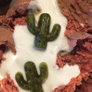 Runnels plated The Bones and Co Raw Beef Mince, Raw Kefir, Primal Elixers Power Greens frozen into cacti molds for her canine companions.