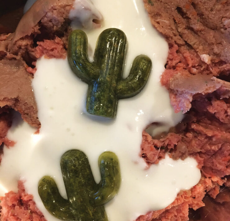 Runnels plated The Bones and Co Raw Beef Mince, Raw Kefir, Primal Elixers Power Greens frozen into cacti molds for her canine companions.