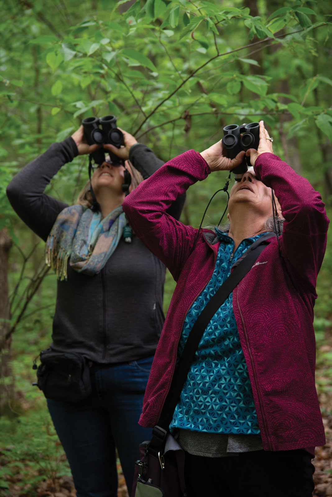 Kiwanis Bird Hike 2024 two women looking through binoculars toward the trees above. By Steve Bybee