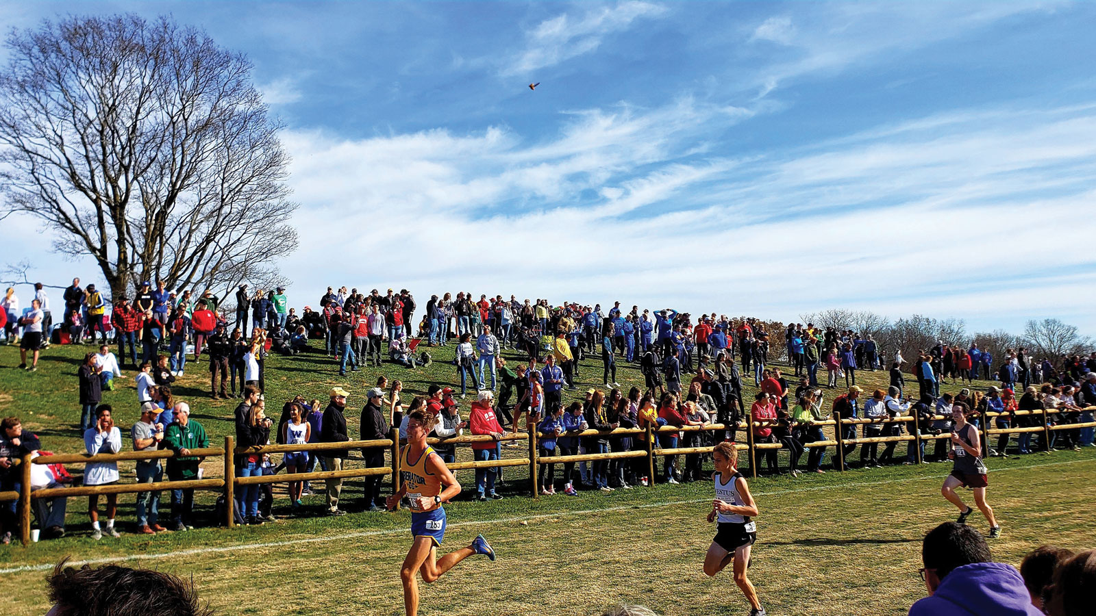 Cross Country Race