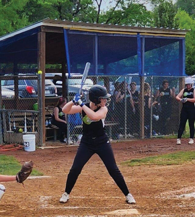 Ericas Daughter At Bat