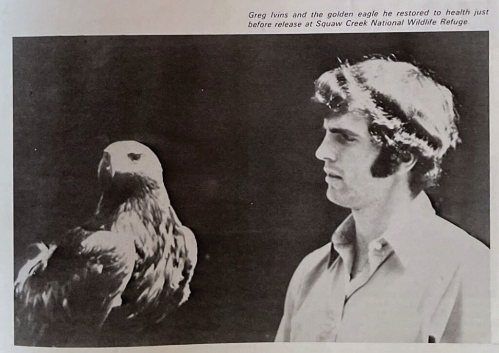 Jim Ivins and the golden eagle he restored to health just before release. 