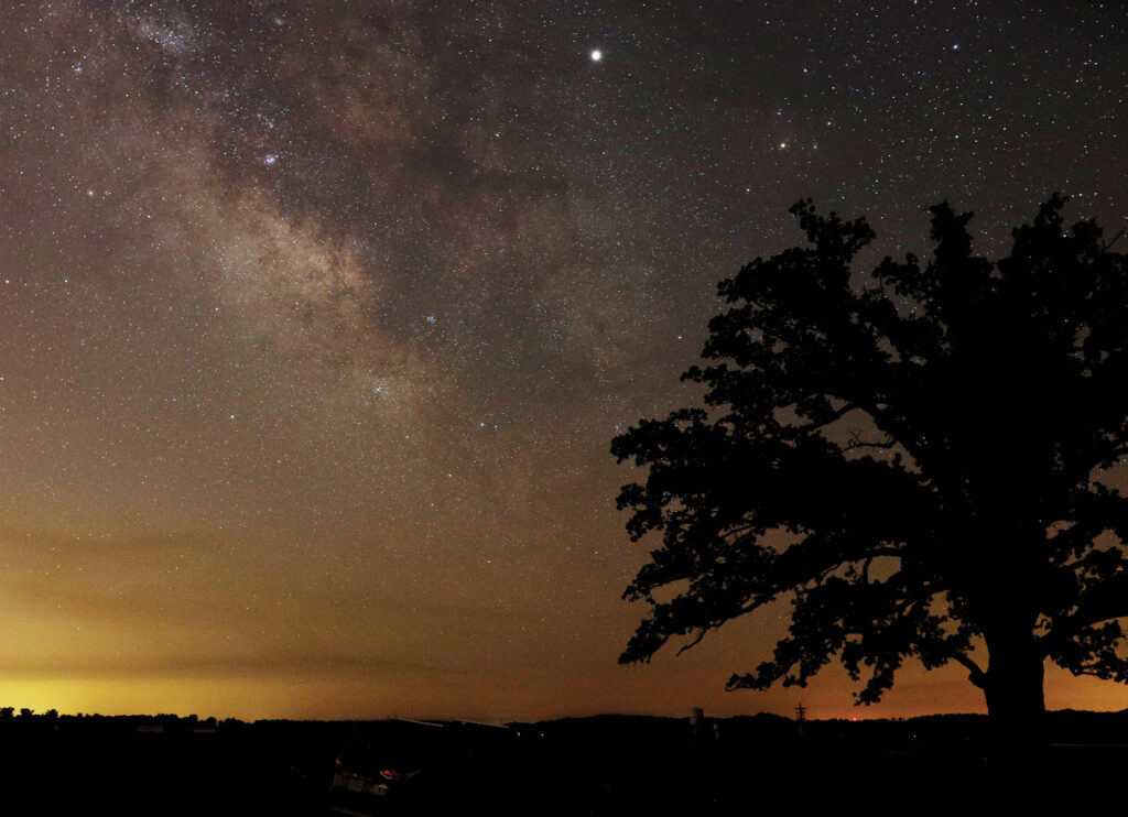 Galaxy In Sky Over Burr Oak Tree