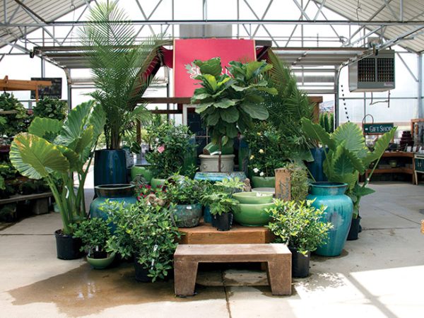 Columbia-Missouri-plant-sale