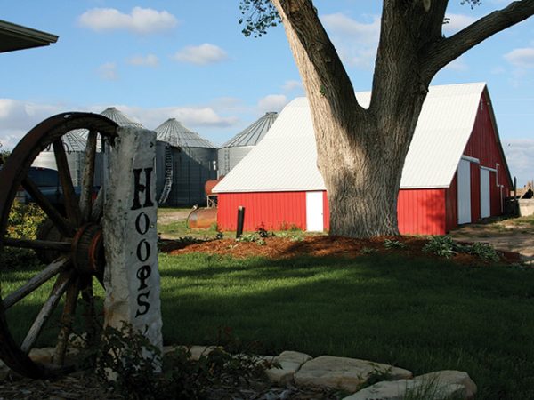 Hoops-barn