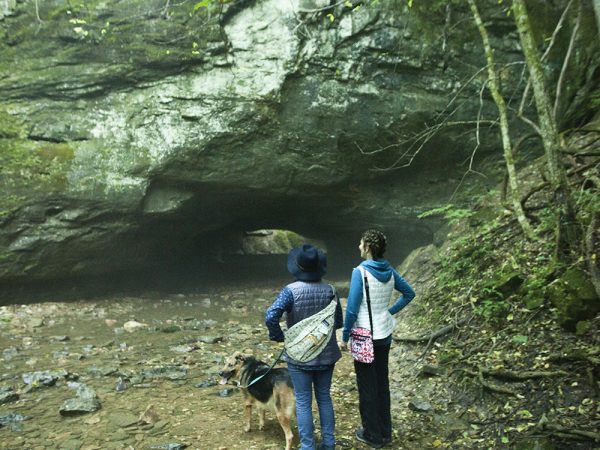 Get Out - Outdoors - COMO Living