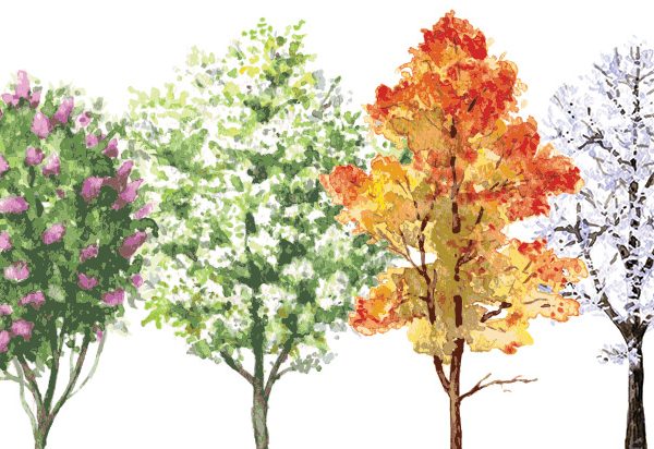 Seasons-Life-Menopause