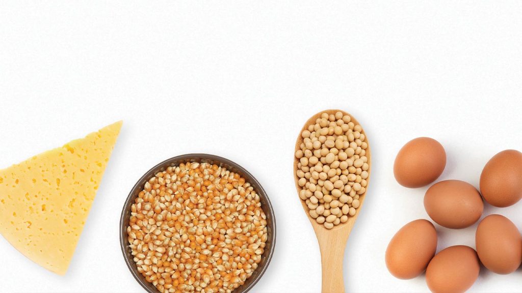 a bowl of corn kernels