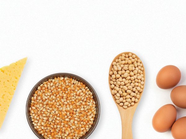 a bowl of corn kernels