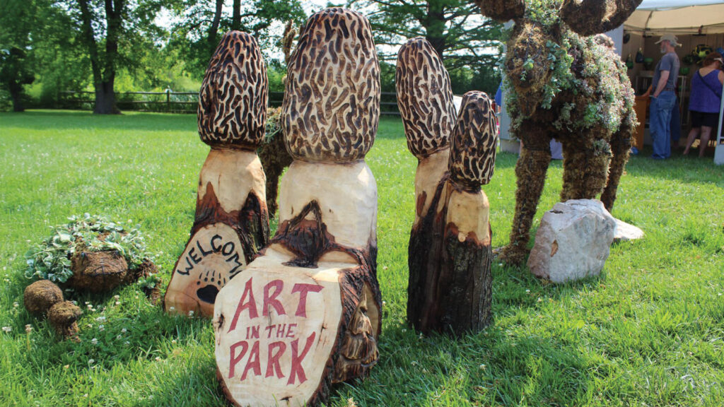 Featured Art In The Park