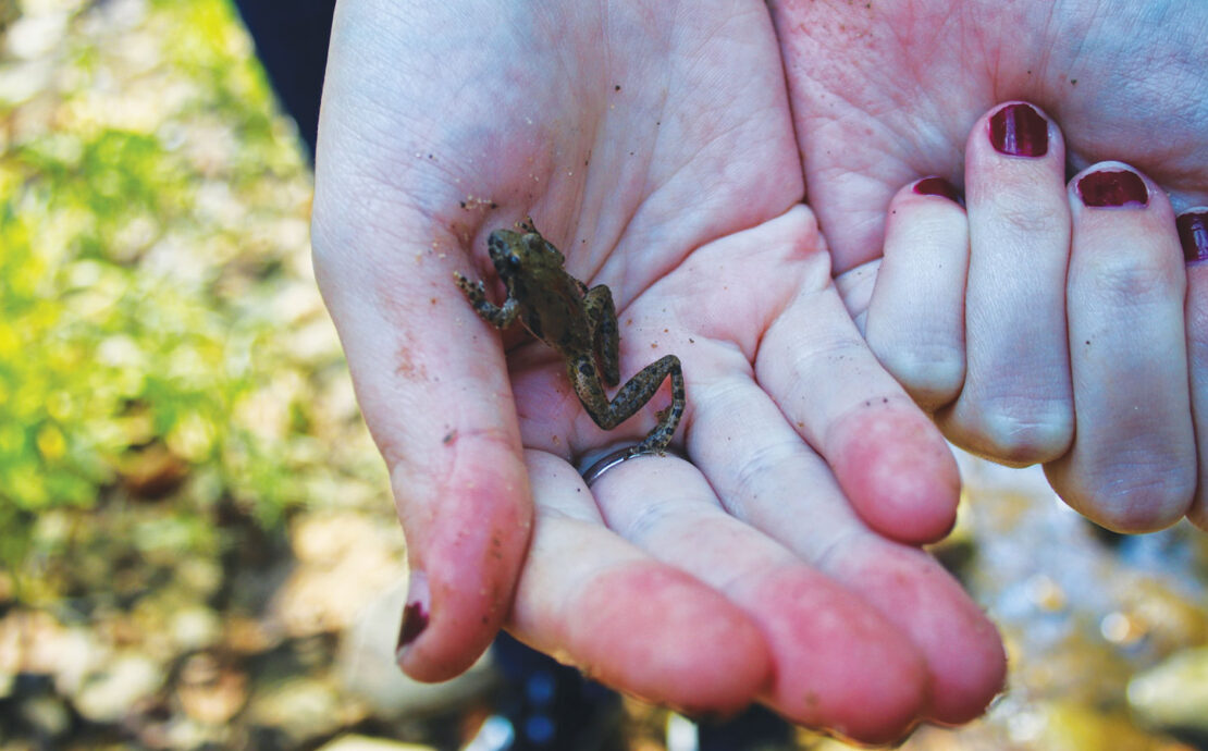 Featured Holding A Little Frog