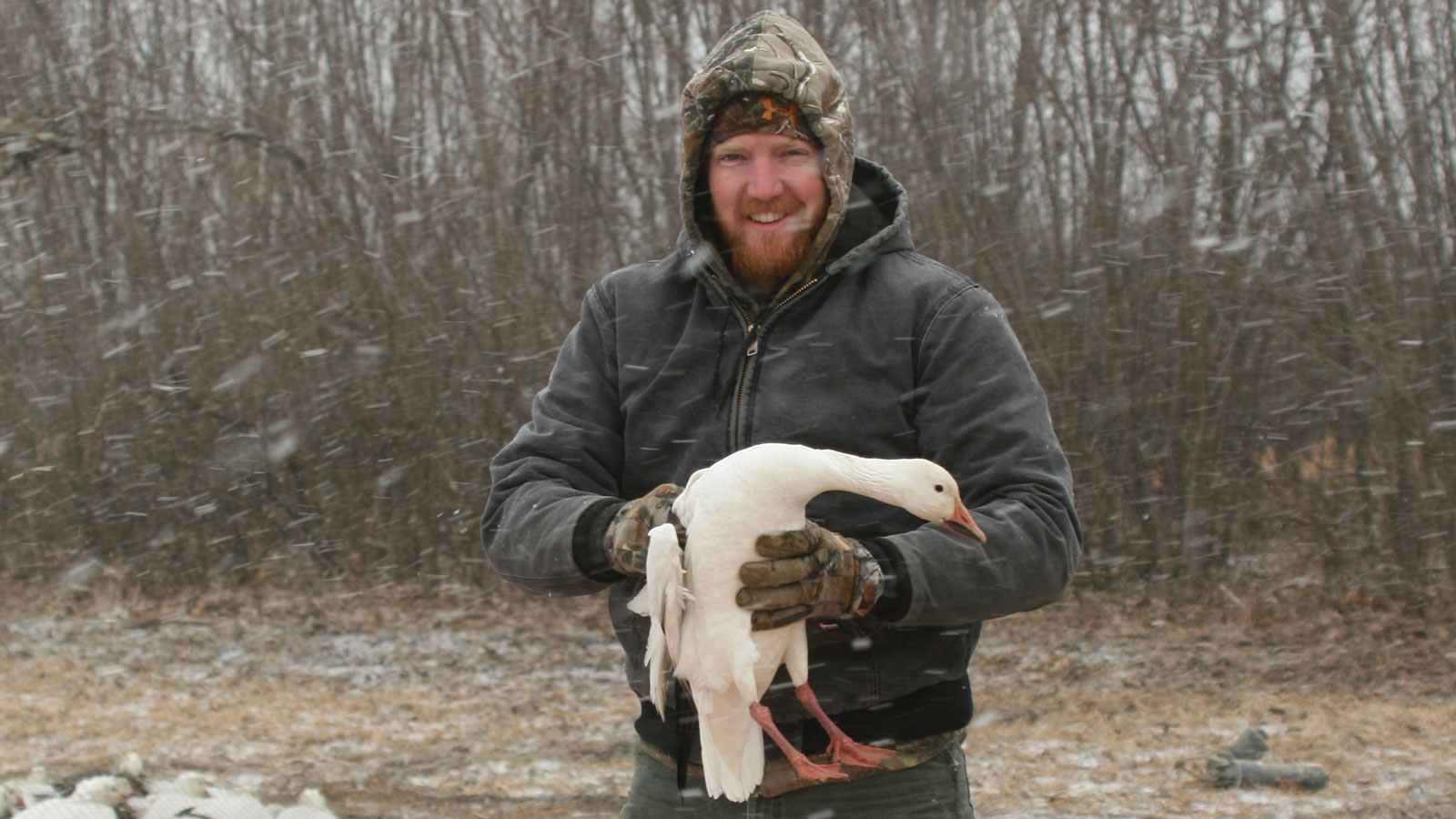 Featured Wildlife Biologist Craig Williamson Holding A Bird