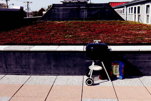 Woodruff Sweitzer uses the patio and green roof for special events, barbecues and business meetings. The building is LEED certified and one of the first green roofs in Columbia. Woodruff Sweitzer uses the patio and green roof for special events, barbecues and business meetings. The building is LEED certified and one of the first green roofs in Columbia.
