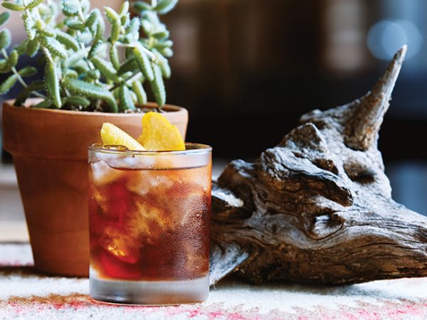 a potted succulent and a piece of driftwood add a natural touch to the scene.