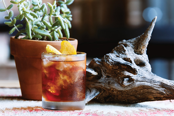 a potted succulent and a piece of driftwood add a natural touch to the scene.