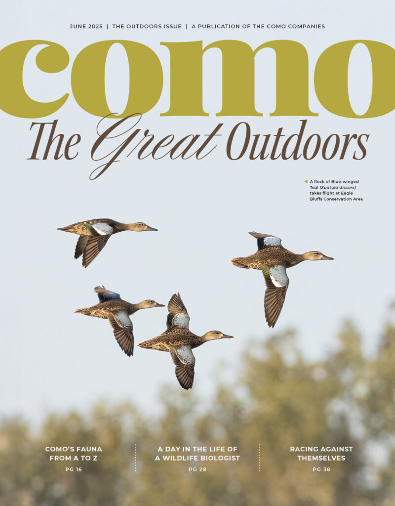 Como 06 25 Cover Web
