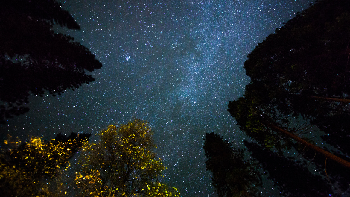 Feature-LightPollution-Slider
