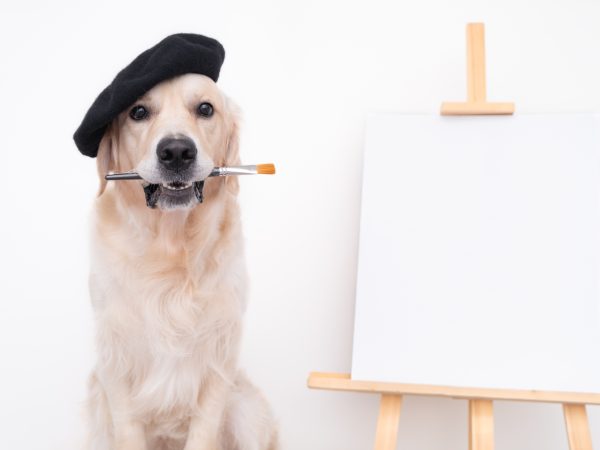 Dog Artist. A Golden Retriever Sits In A Beret Near An Easel With A White Blank And Holds A Brush In Its Teeth. Place For Text Or Picture