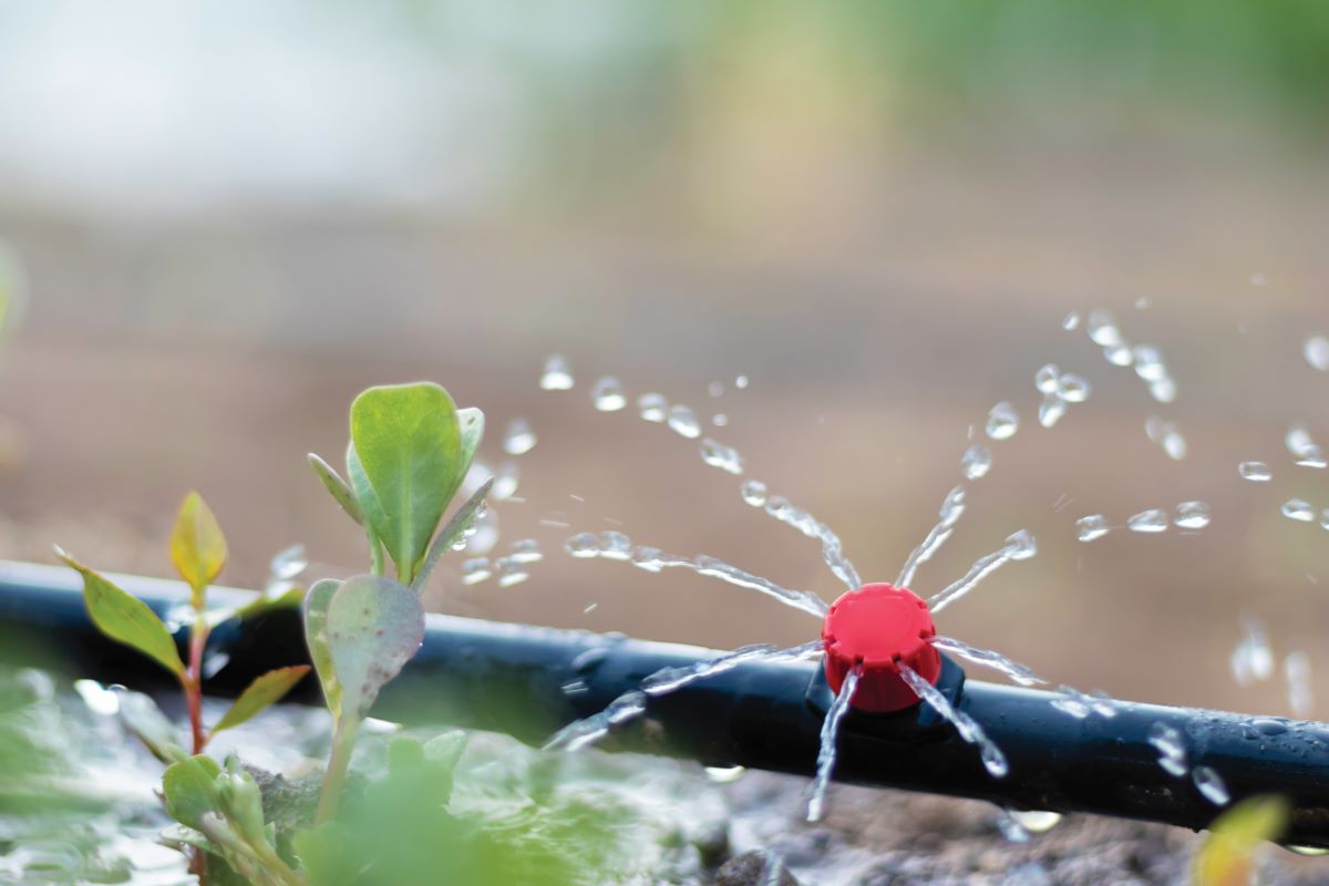 water irrigation system