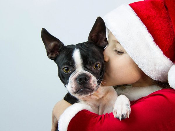Gettyimages 465407075 of a child in a santa outfit and hat holding and kissing a dog
