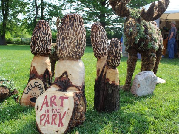Art in the Park