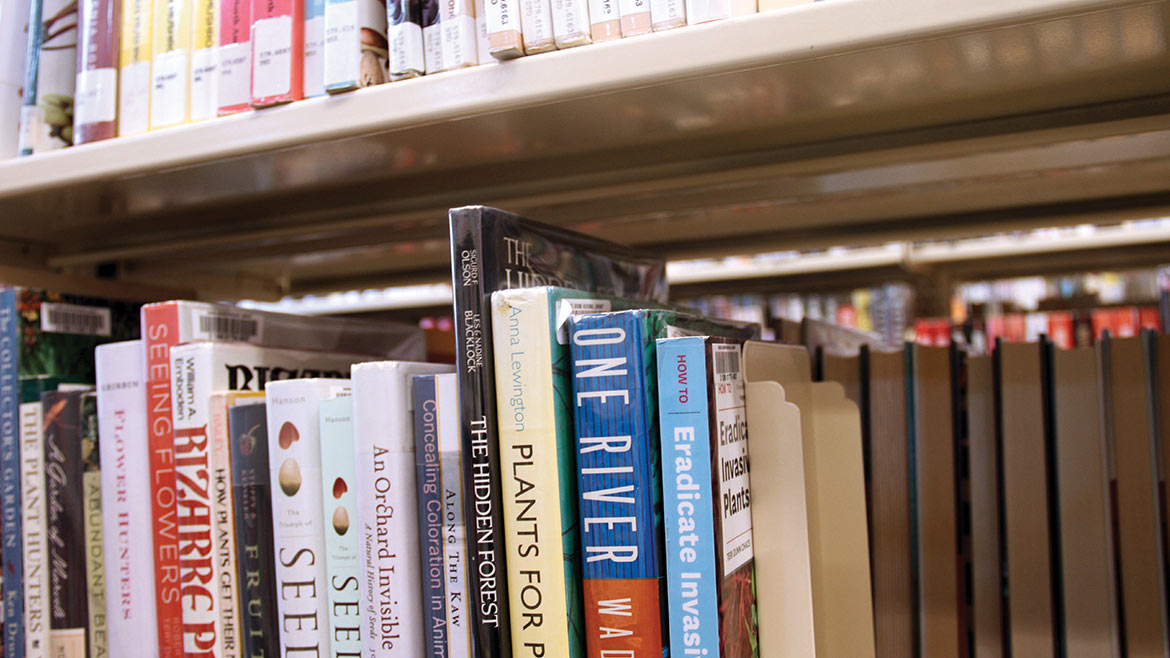 loveyourlibrary-books