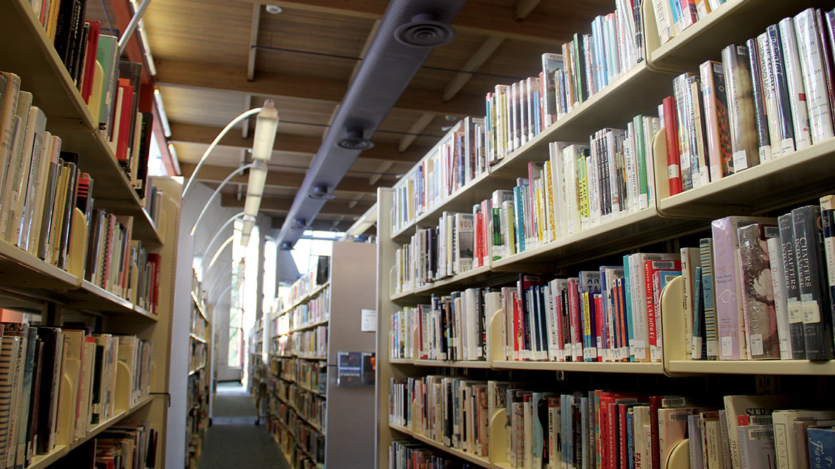 loveyourlibrary-shelves