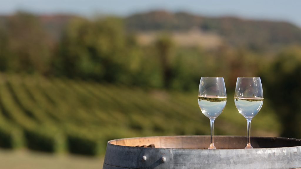 set against a blurred background of vineyards and distant hills