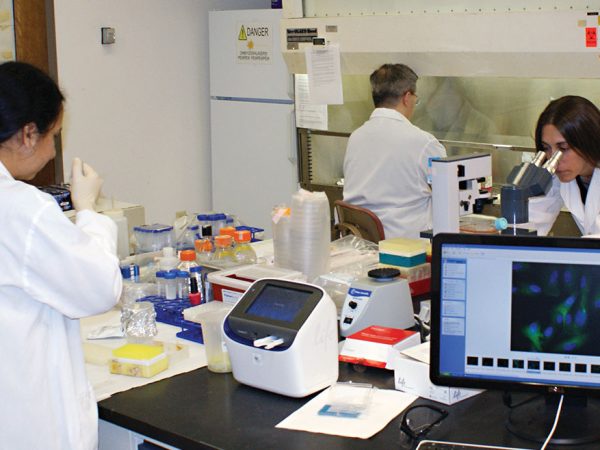 Nonprofit-CancerResearchCenter-Lab2-CBT-Nov2017
