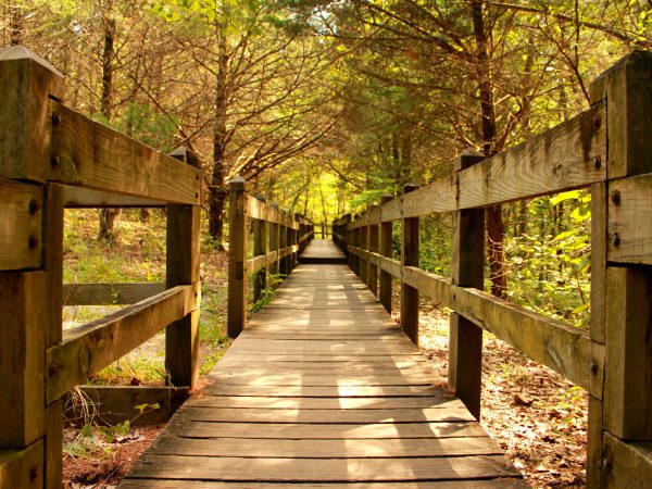 Rock-Bridge-Jennifer-McGovney