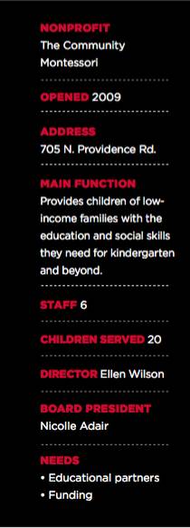 the-community-montessori-needs-sidebar