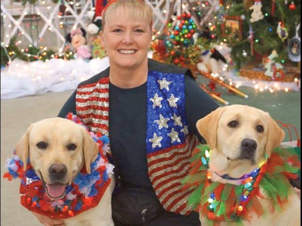 Service-dogs