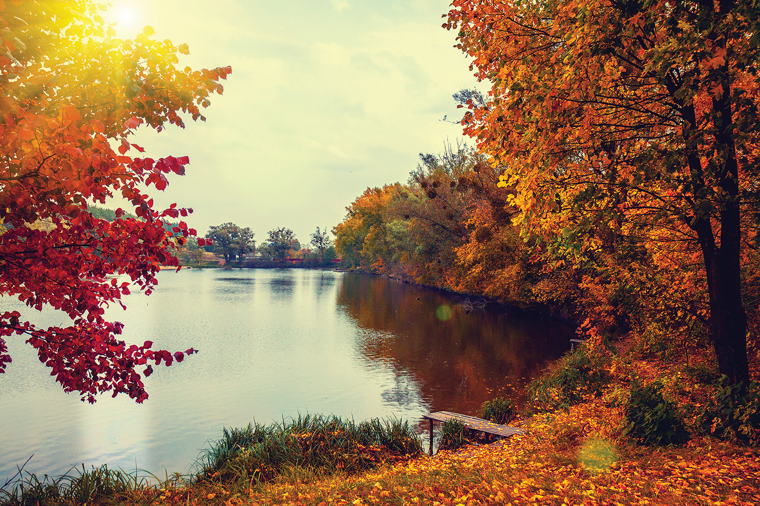 Wooded Lake