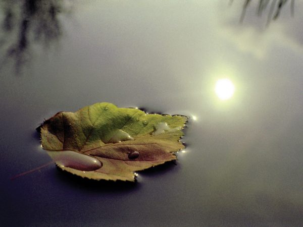ThinkstockPhotos-485655911-2