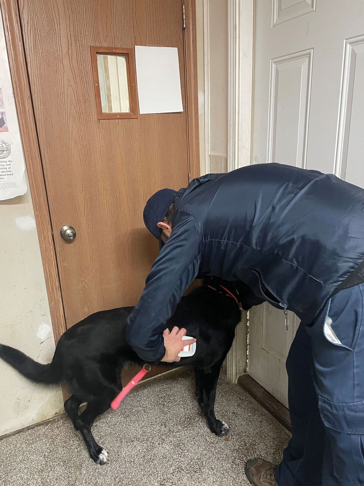 Checking For Microchip