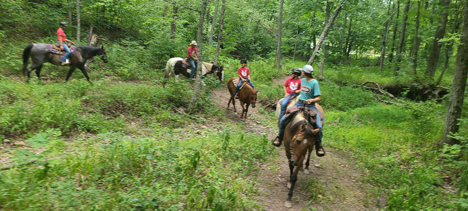 Coyote Hills Trail Riders