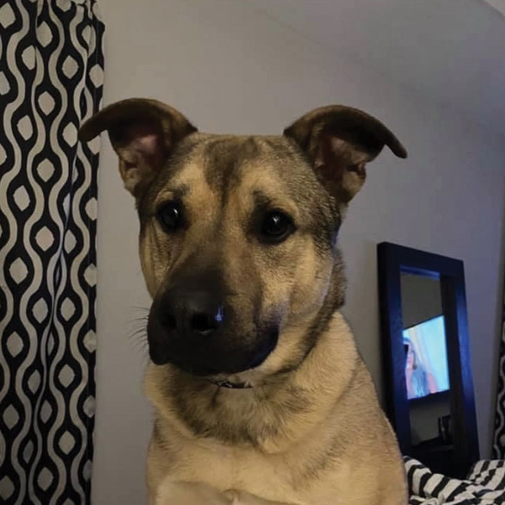 Duke Ambra