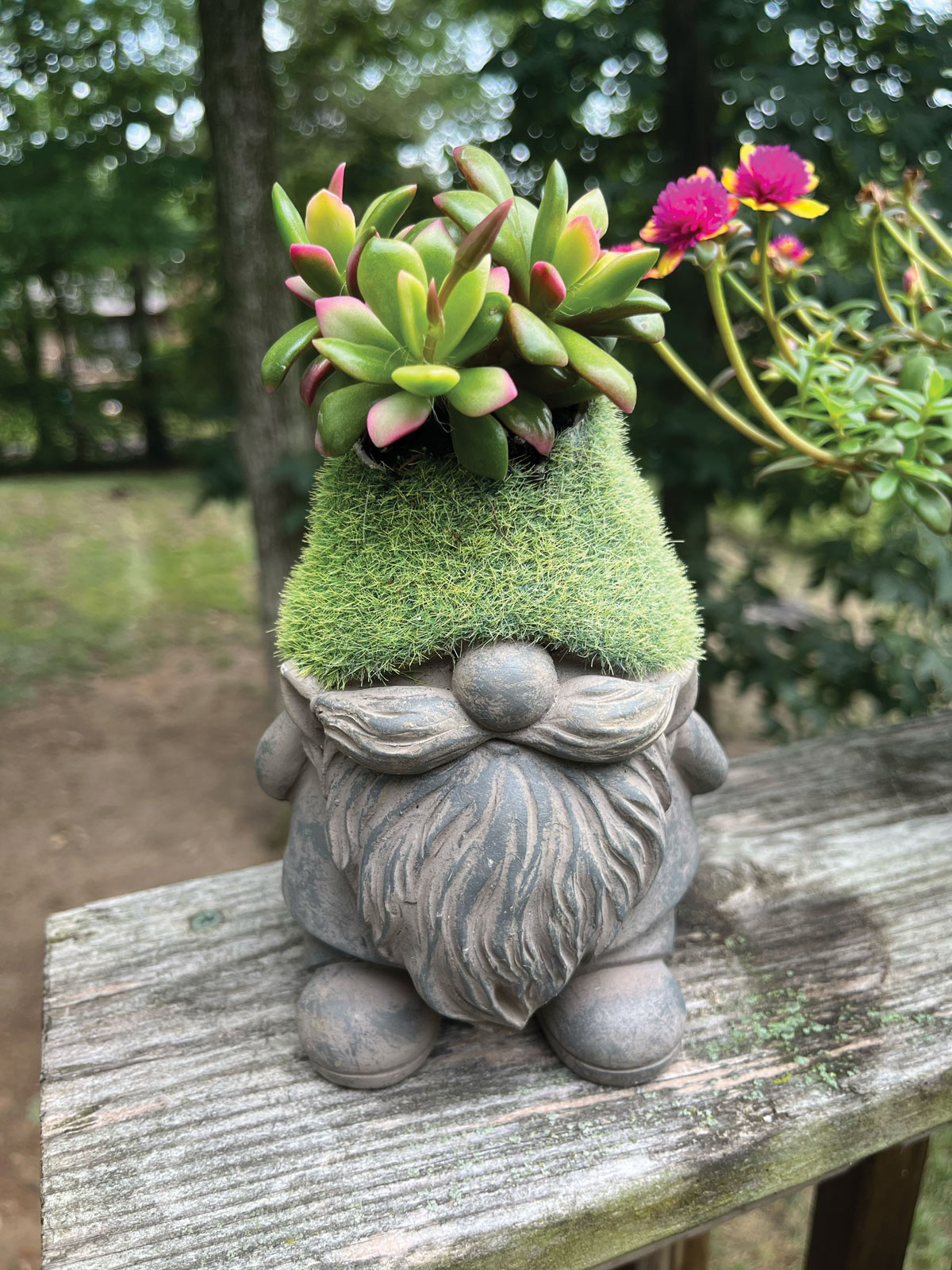 Erica Pefferman's of gnome success - gray stone feet sticking out from a floor-touching-beard and moustache, a green moss covered hat that blends into lush green succulents blooming out of the hat.