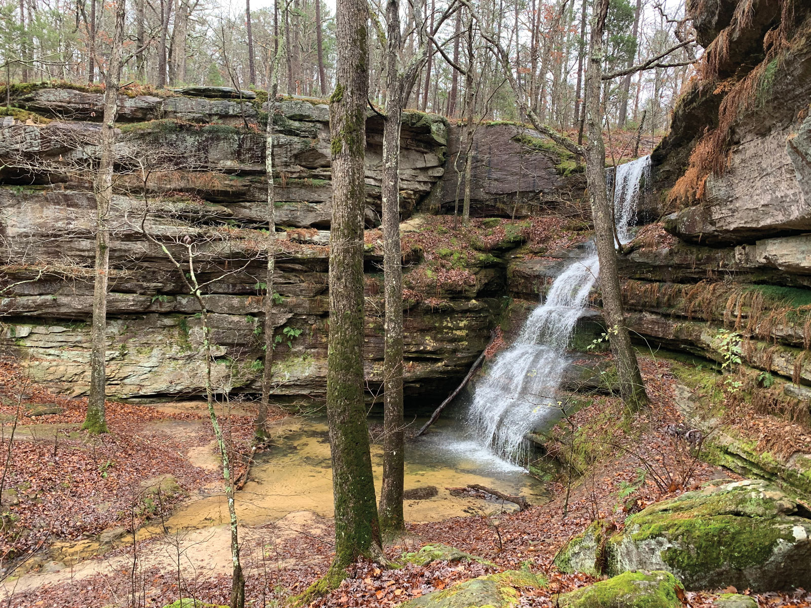 Hickory Canyon | Bill Naeger