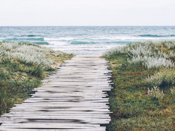 landing-stage-sea-nature-beach