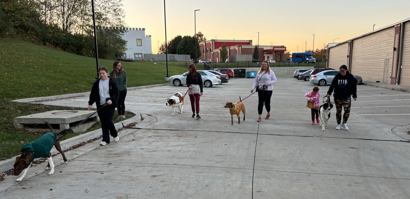 Meia Training Dog Class Outside