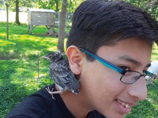 Josiah Jainchill with his rescued robin
