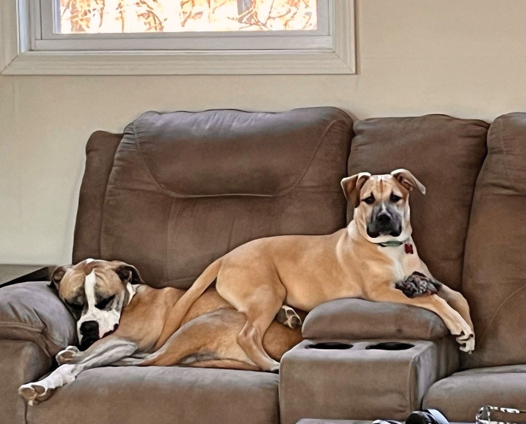Rhodey And Sven
