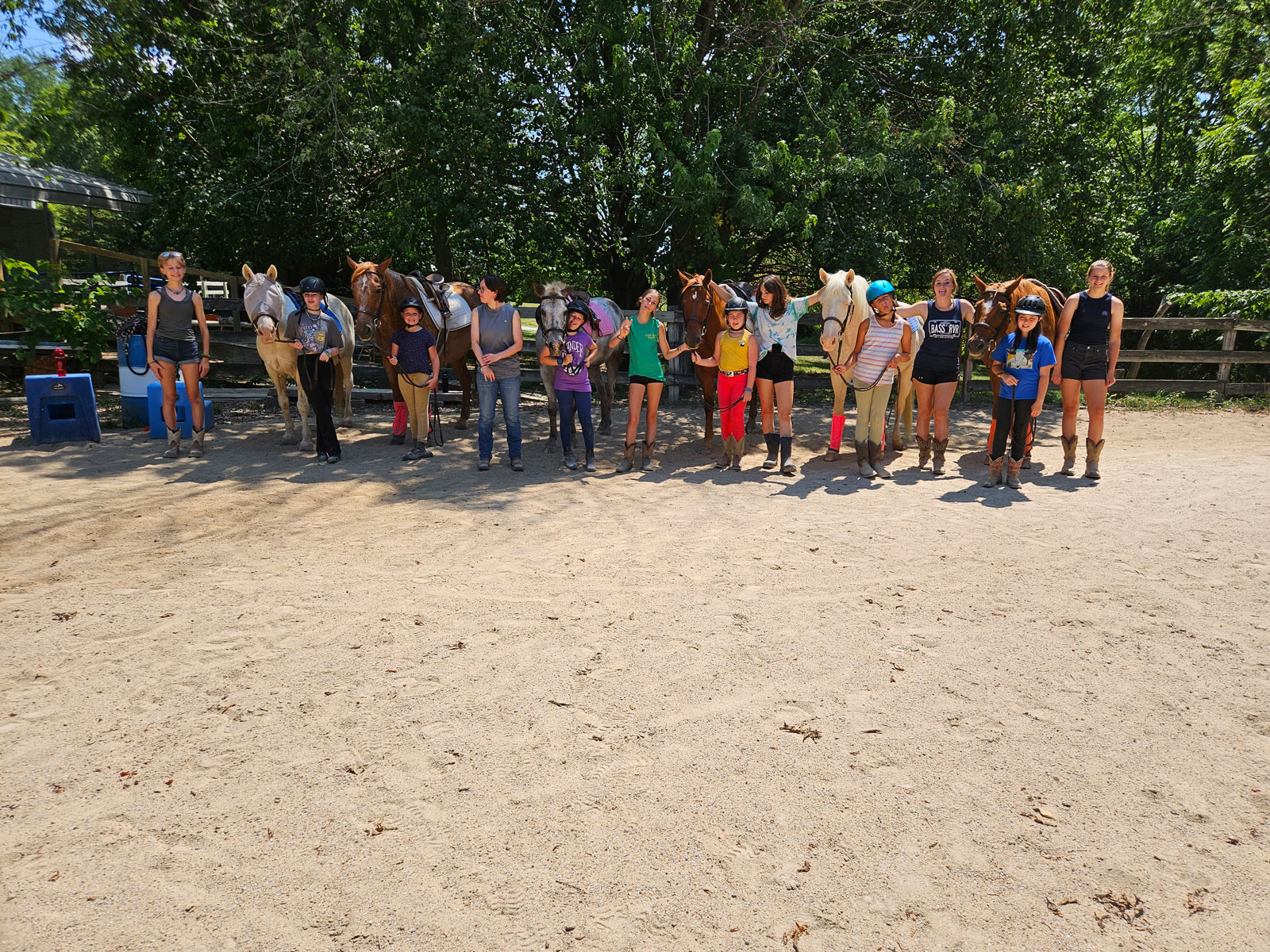 Large Class of riders and their horses at Sunny Oak.