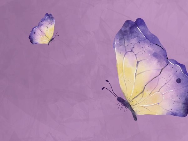 Butterfly-on-purple-background