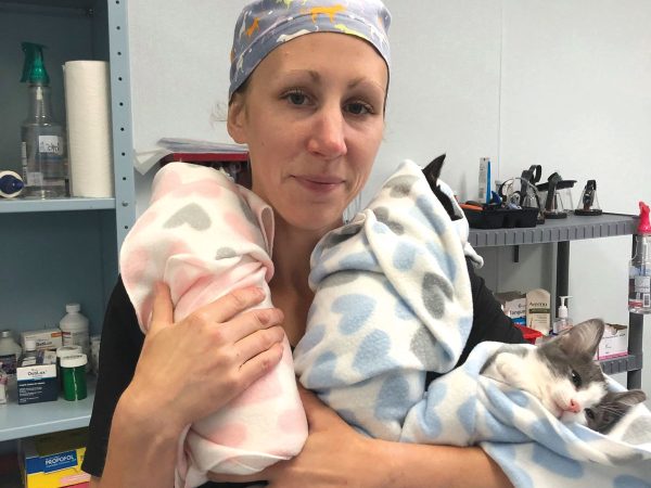 Dr. Cherie Flowers sitting and holding one of her patients a dog named Sage.|vet assistant named Caroline poses next to a large dog named Glacier|vet tech with two small dogs on her lap giving one of the dogs a nail trim