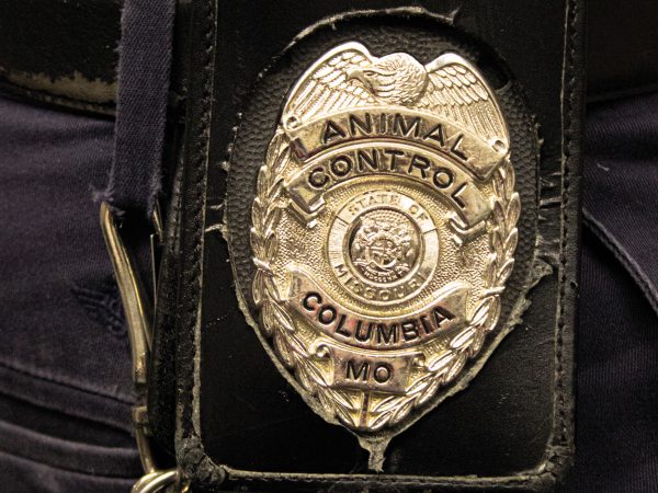Missouri|shot of a badge belonging to animal control in Columbia