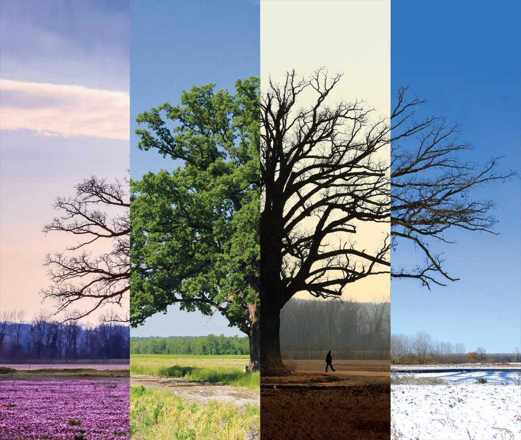 each representing a season: spring with flowers